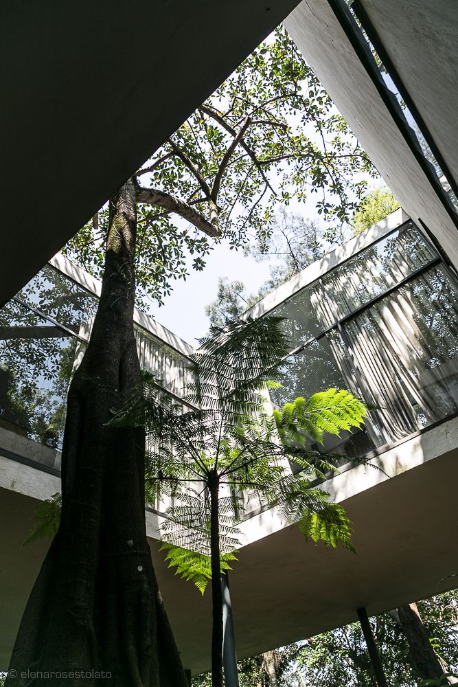 Casa de Vidro, Lina Bo Bardi — illustration 3